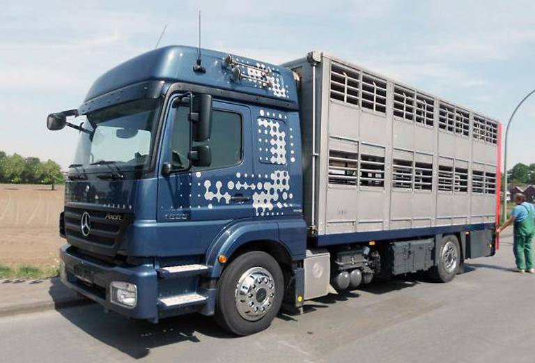 Перевезти корову автотранспортом из Дальнереченска в Свободного