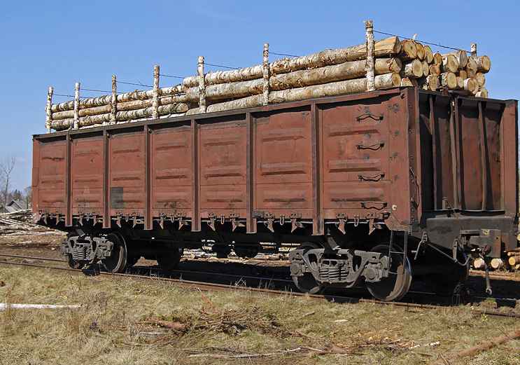 Перевозка ЛЕСА вагонами из Куньи в Усть-Лугу